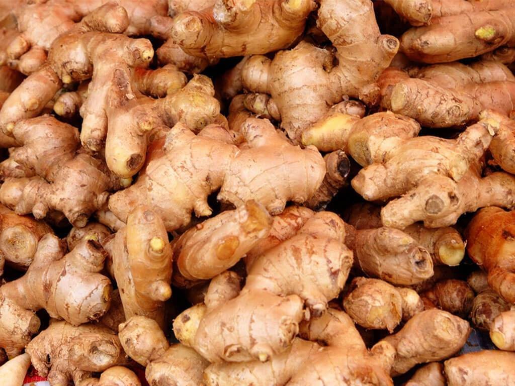 युरोपमा पुग्यो कर्णालीको अदुवा