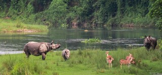 निकुञ्जको जागिरले पौडेललाई यसरी बनायो मालिक