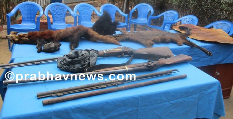 खोटाङमा ठुलो मात्रामा हातहतियार र जङ्गली जनावरको अंग सहित ४ जना पक्राउ