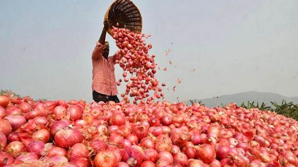 प्याजका १० फाइदा