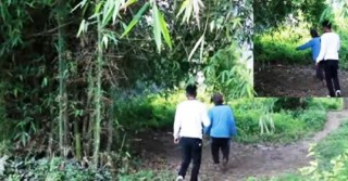 एक किशोरीलाई बाँसघारीमा लगेर जबर्जस्ती करणी गर्ने युवक पक्राउ