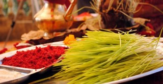 कुन दिशामा फर्केर लगाउने आज  दशैको टीका ?