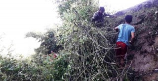 गोरेटो बाटोको झाँडी पन्छाउँदै दाल्फुका युवा