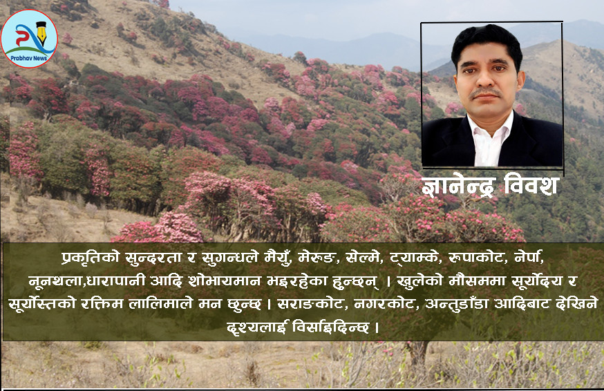 प्राकृतिक छटा
