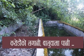 रेन्बो ट्राउट विकास कार्यक्रमः नारामै सिमित 