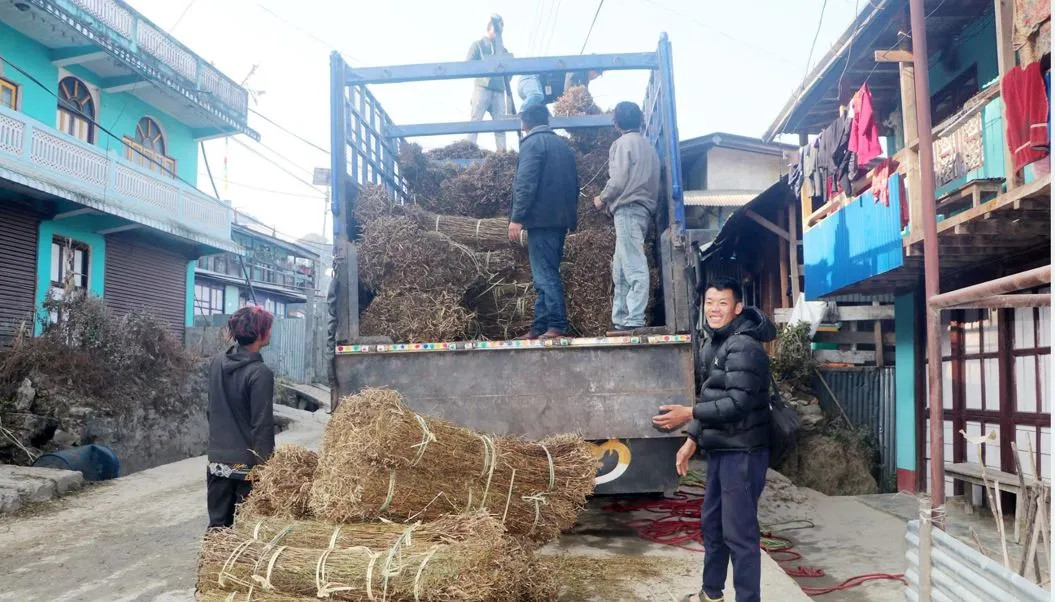 चिराइतो मूल्य बढ्दो, उत्पादन घट्दो