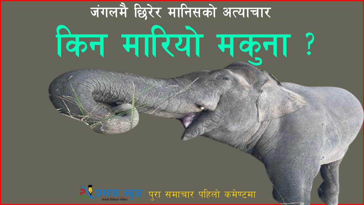 किन मारियो मकुना ?