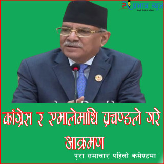कांग्रेस–एमालेको ध्यान संविधान उल्ट्याउनमा केन्द्रित छ : प्रचण्ड