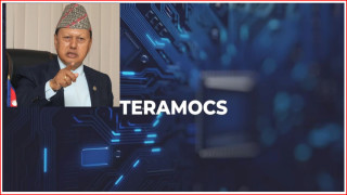 टेरामक्स  झ्वाम बनाउने ठूला माछालाई अख्तियारले डाम्यो (नामावलीसहित) 