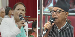 राष्ट्रिय सभामा पनि प्रधानमन्त्री र गृहमन्त्रीको खोजी